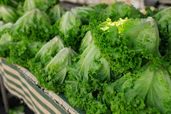 Offrez un bon cadeau pour découvrir la gastronomie à bayonne